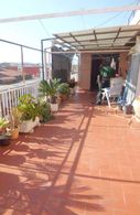 Vertickalarts terraza con plantas
